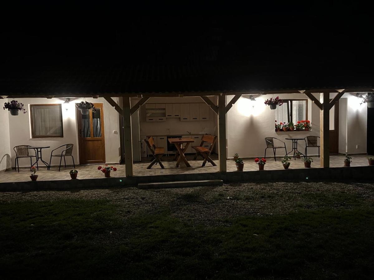 Casa Andrei Villa Cartisoara Luaran gambar
