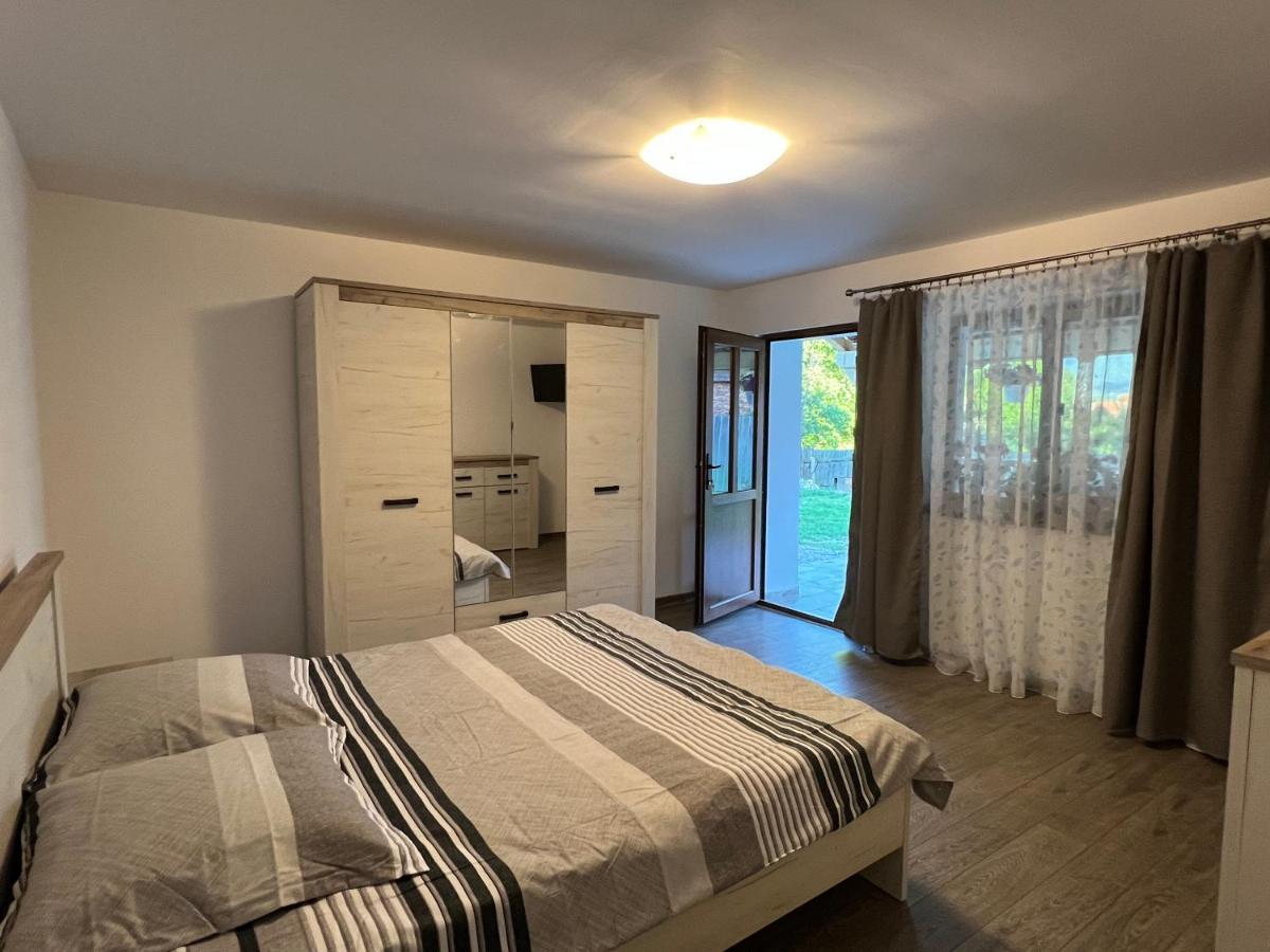 Casa Andrei Villa Cartisoara Luaran gambar