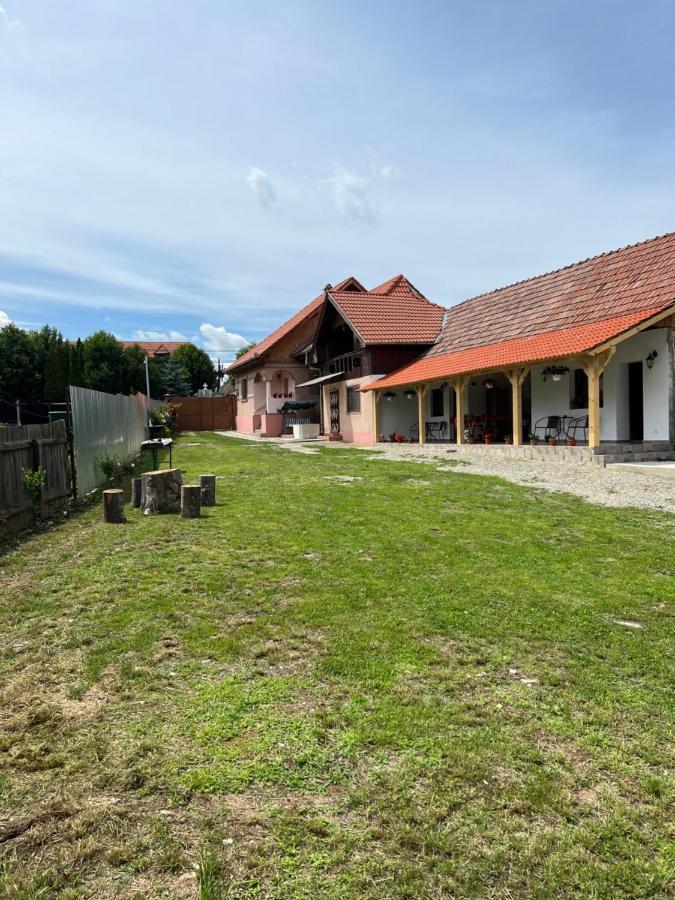 Casa Andrei Villa Cartisoara Luaran gambar