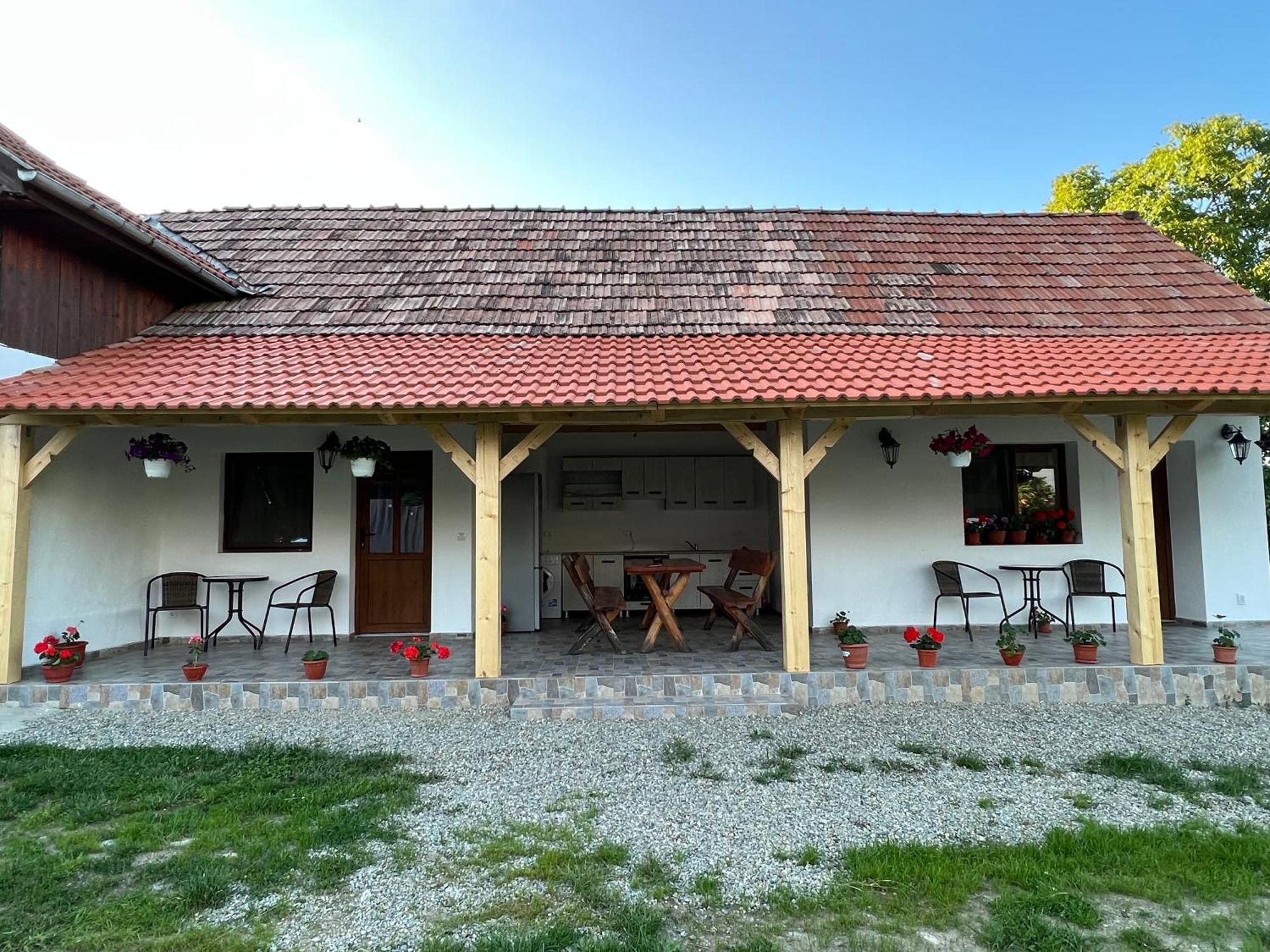 Casa Andrei Villa Cartisoara Luaran gambar